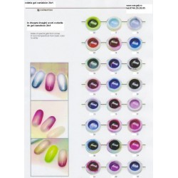 Gel Color Cameleon 5g